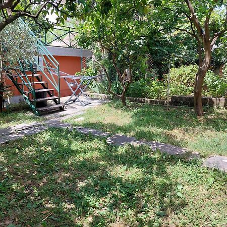 Garden Apartmant Near Sea Kotor Exterior photo
