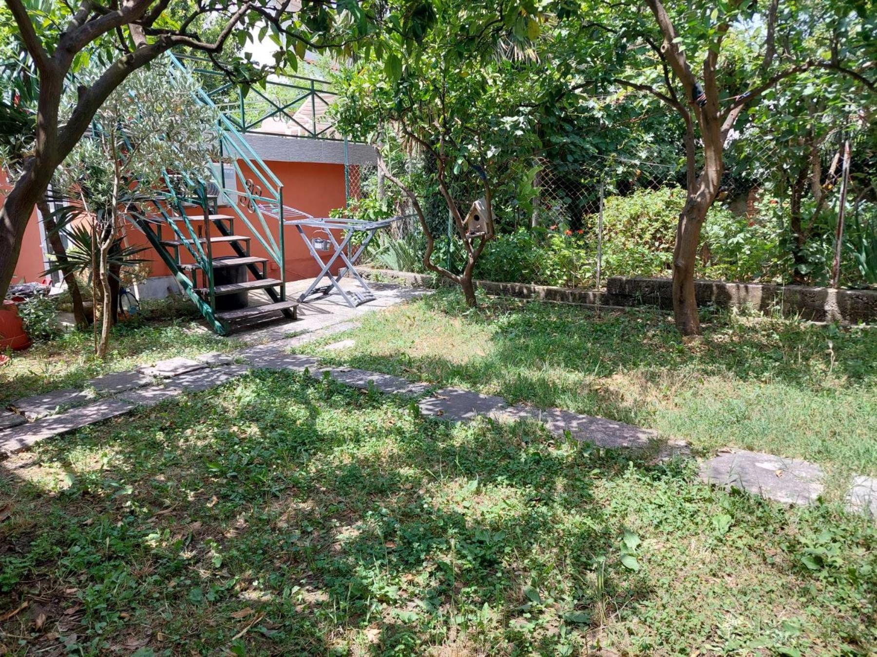 Garden Apartmant Near Sea Kotor Exterior photo