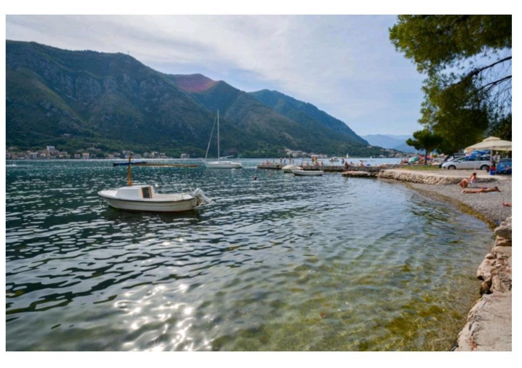 Garden Apartmant Near Sea Kotor Exterior photo