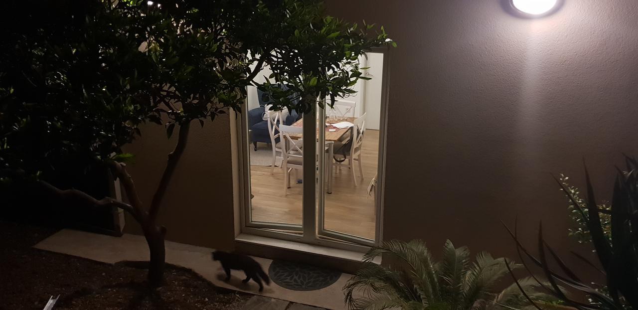 Garden Apartmant Near Sea Kotor Exterior photo