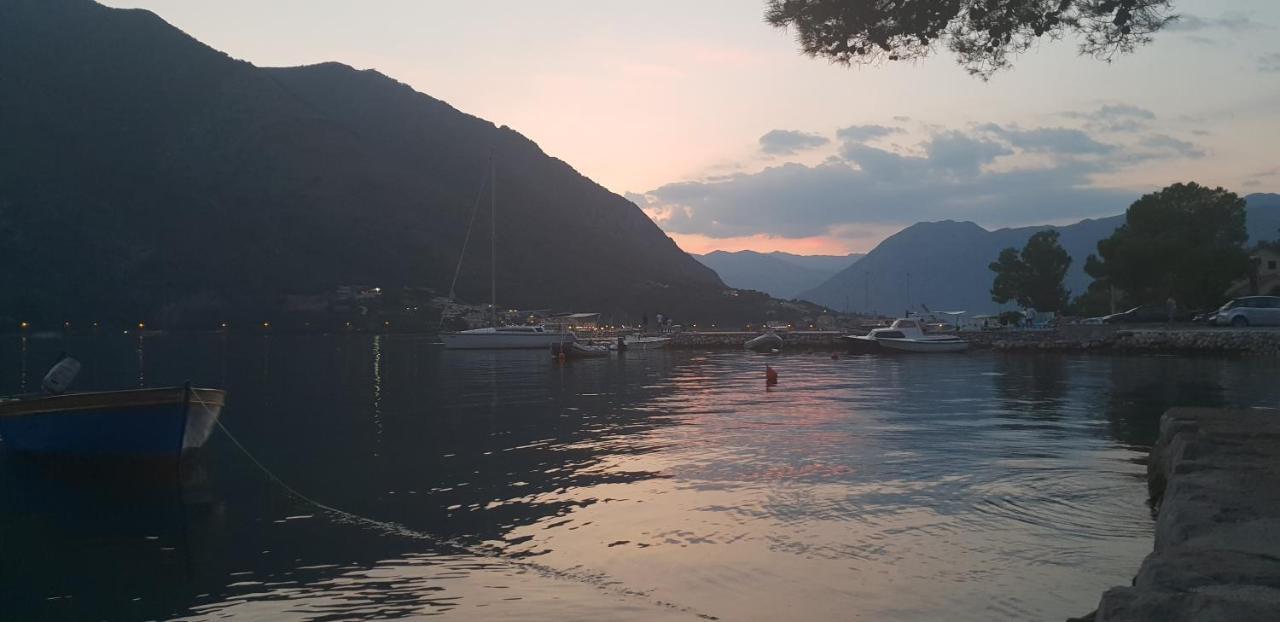 Garden Apartmant Near Sea Kotor Exterior photo
